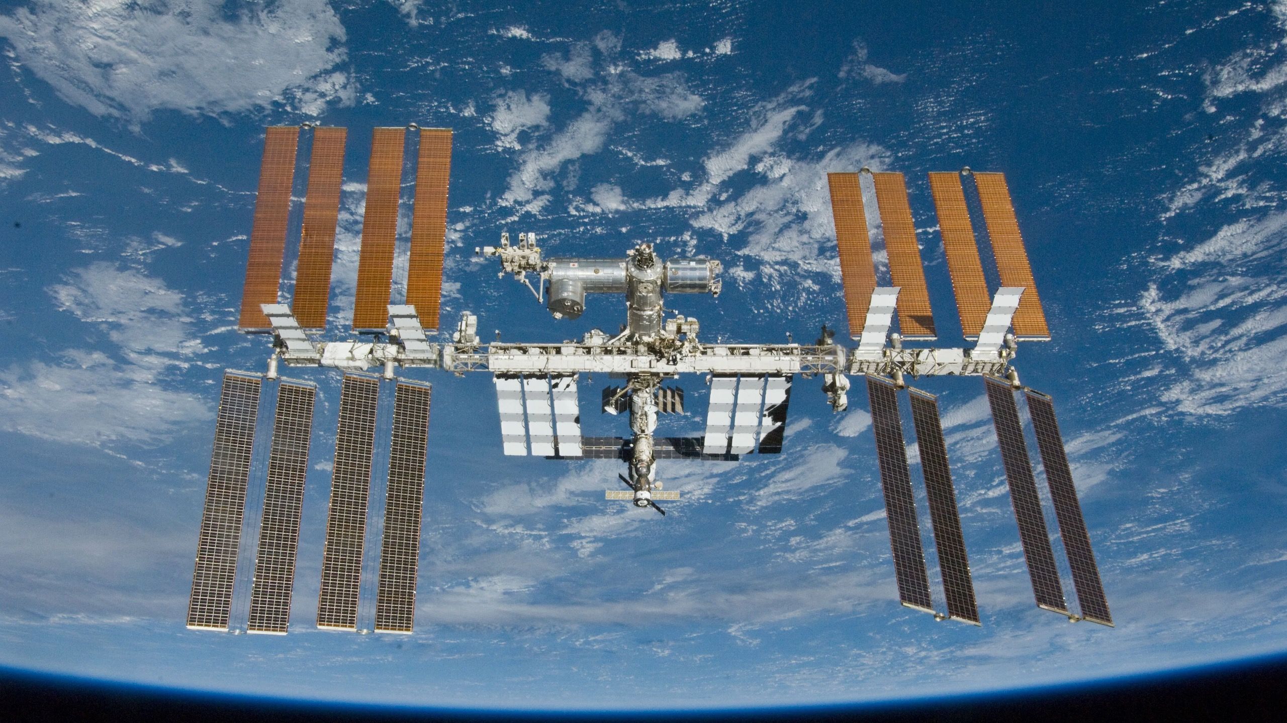 [EN]  Space medicine breakthrough? Kidney and liver tissue bioprinted off Earth for 1st time ever 