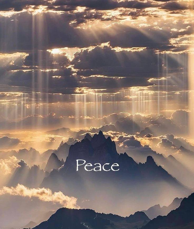 The Petal of Open Receiving