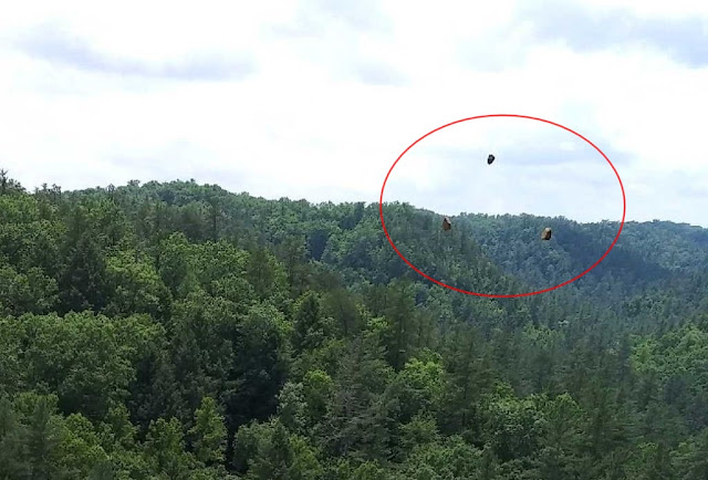 A photographer captured eerie holographic anomalies shimmering in the sky—sparking theories of a parallel universe briefly bleeding into our own.