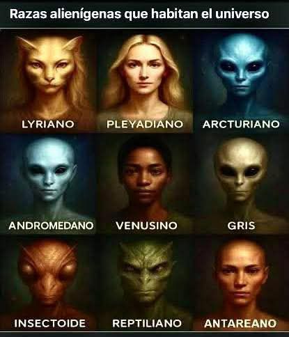 The Galactic Federation is coming to Earth: are you ready?